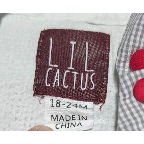 Lil Cactus Outfit Overalls Baby Sz 18-24 Months Smocked Sheep Spring - Picture 3 of 9